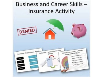 Financial Literacy - Personal Insurance Lesson Activity