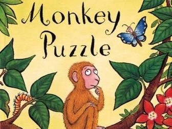 Monkey puzzle literacy plan
