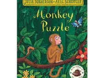 monkey puzzle resources SEN