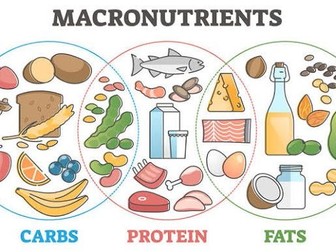 Macronutrient Mandmap