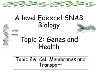 Edexcel SNAB Biology - Topic 2: Genes and Health - Topic 2A: Cell membranes and Transport