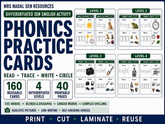 Phonics Practice Cards | 160 Reusable SEN Phonics Cards | 4 Levels