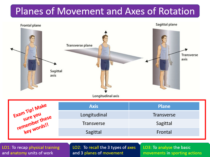 Planes Of Movement And Axes Of Rotation - AQA GCSE PE (9-1) | Teaching ...