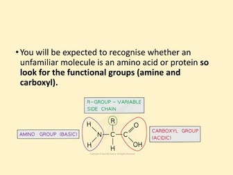 Bio Mol Proteins AS Level (AQA)