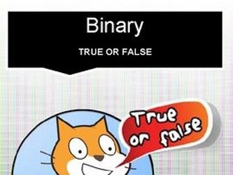 Scratch: Binary (Advanced #1)