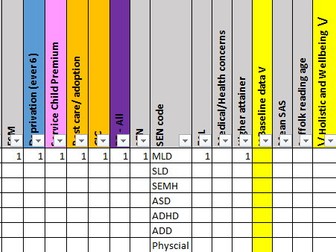 Pupil Premium Tracker