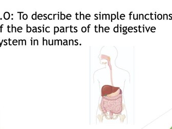 Yr 4 Science - To describe the simple functions of the basic parts of  the digestive system