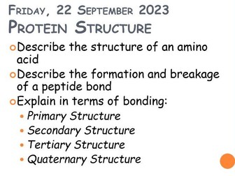 CIE 2.3 Biological Molecules: Protein Structure and Bonding