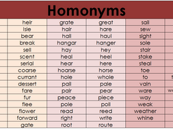 Homonyms Word Mat