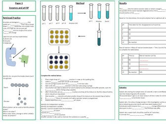 Enzymes RP Revision Mat