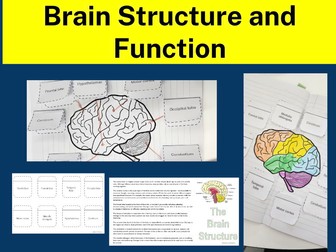 Brain Structure and Function: Lift the flap