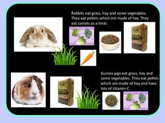 KS1 Pets science unit