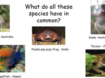 Biodiversity & Endemism & Index of Diversity Calculation - A Level (Edexcel IAL Unit 2).