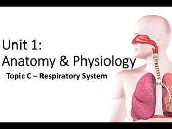 BTEC Sport L3 Unit 1 A&P - Respiratory System