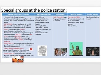 Criminal Litigation & Evidence Revision PowerPoint - UoL - 2022