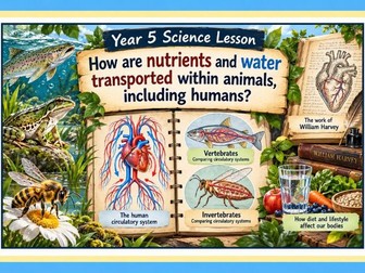 Year 5 How are nutrients and water transported within animals, including humans? Science Lesson