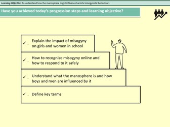 Misogyny and Subcultures PSHE KS3 Lesson