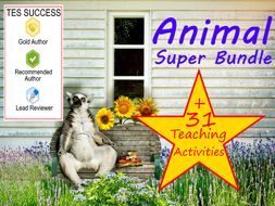Animals Bundle