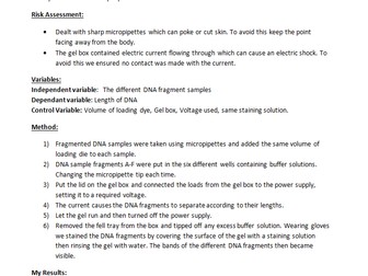 CORE PRACTICAL 14: Use gel electrophoresis to separate DNA fragments of different length.