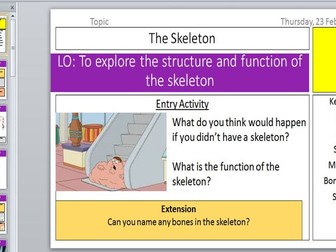 Muscles and Bones KS3 (The Skeleton and Muscles and Moving)