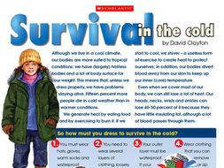 Information Text Features Lesson