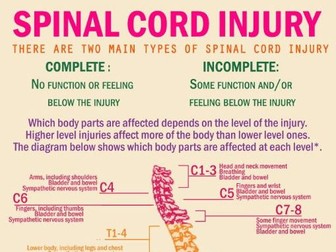 Spinal Cord Injury Poster