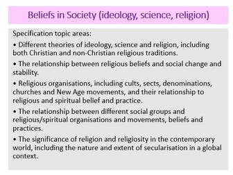Beliefs in Society