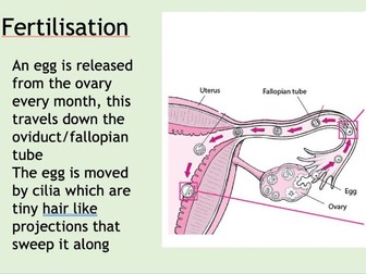 Sexual Reproduction Unit of Work