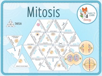 Mitosis - Tarsia (KS4/5)