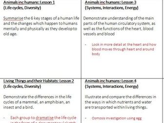 Year 6 Science planning - entire year