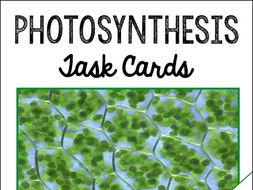 Photosynthesis Task Cards with PowerPoint Review