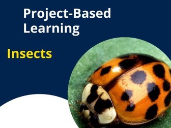 Insects Project Based Learning