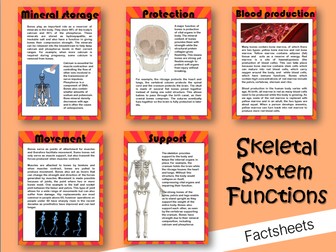 Skeletal System Functions