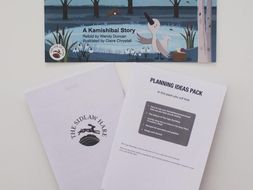 EYFS Planning Ideas Pack for The Ugly Duckling