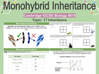 Monohybrid Inheritance - Genetic Cross Diagrams