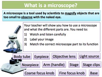 KS3 Cells & Organisation 3-4 Microscopy