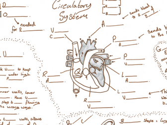 CB8 Revision poster