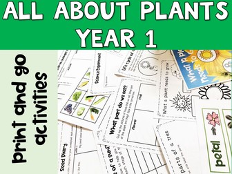 Plants Year 1