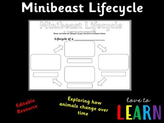 Minibeast Lifecycle Worksheet