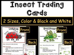 Insect Activities - Trading Cards