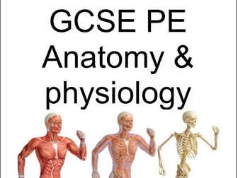 GCSE PE workbook Anatomy and Physiology