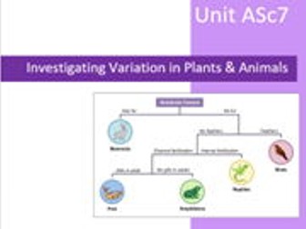 Pearson BTEC ASc7 Investigating Variation in Animals & Plants