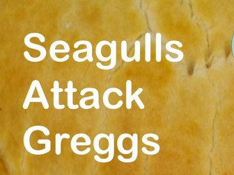 Seagulls Short Story Reading Comprehension