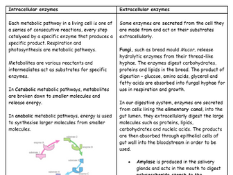 OCR AS level biology A Enzymes-biological catalysts 2.4.1