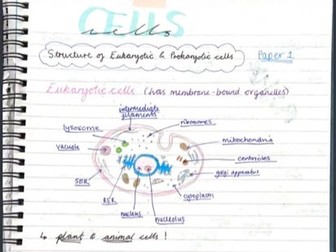 AQA Biology Topic 2 Revision Notes