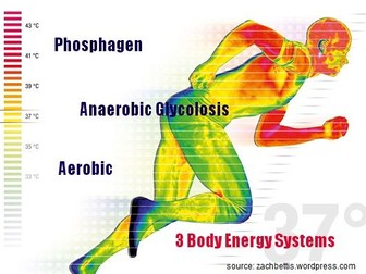 AQA AS Level PE Physical Education Energy systems complete lesson powerpoint