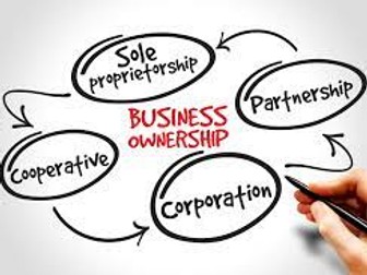 1.2.2 Business Ownership