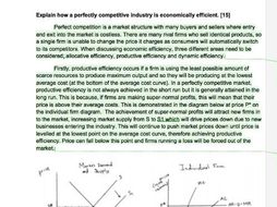 perfect competition economics essay