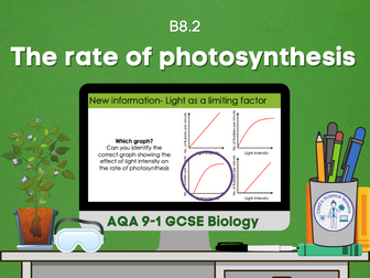 The rate of photosynthesis