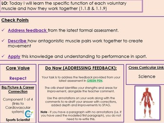 Edexcel GCSE PE - Component 1 - Topic 1 - Lesson 8 Muscles